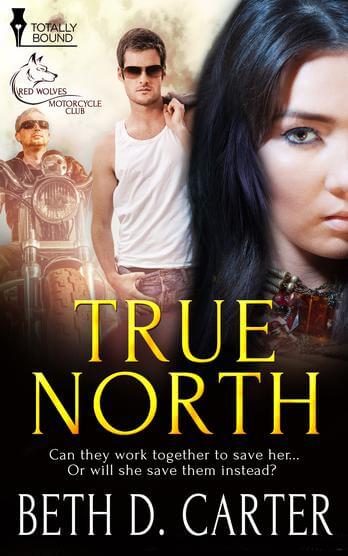 True North